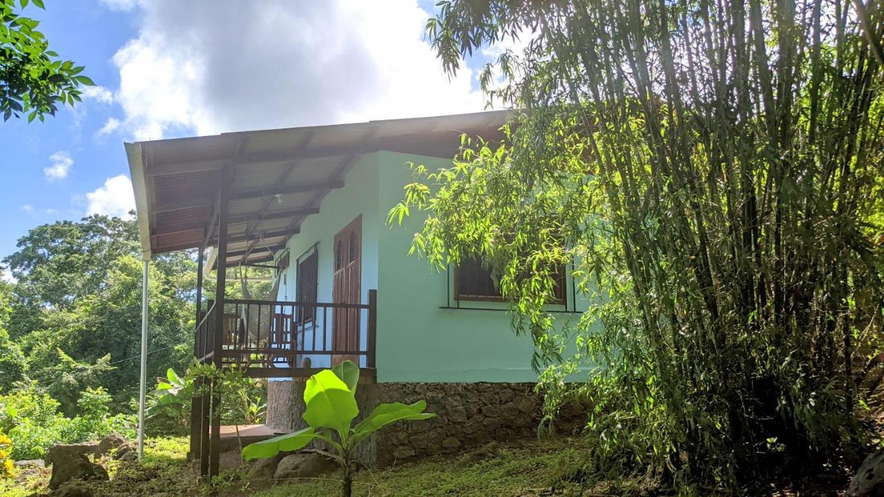 Selvista Guesthouses Balgue Eksteriør billede